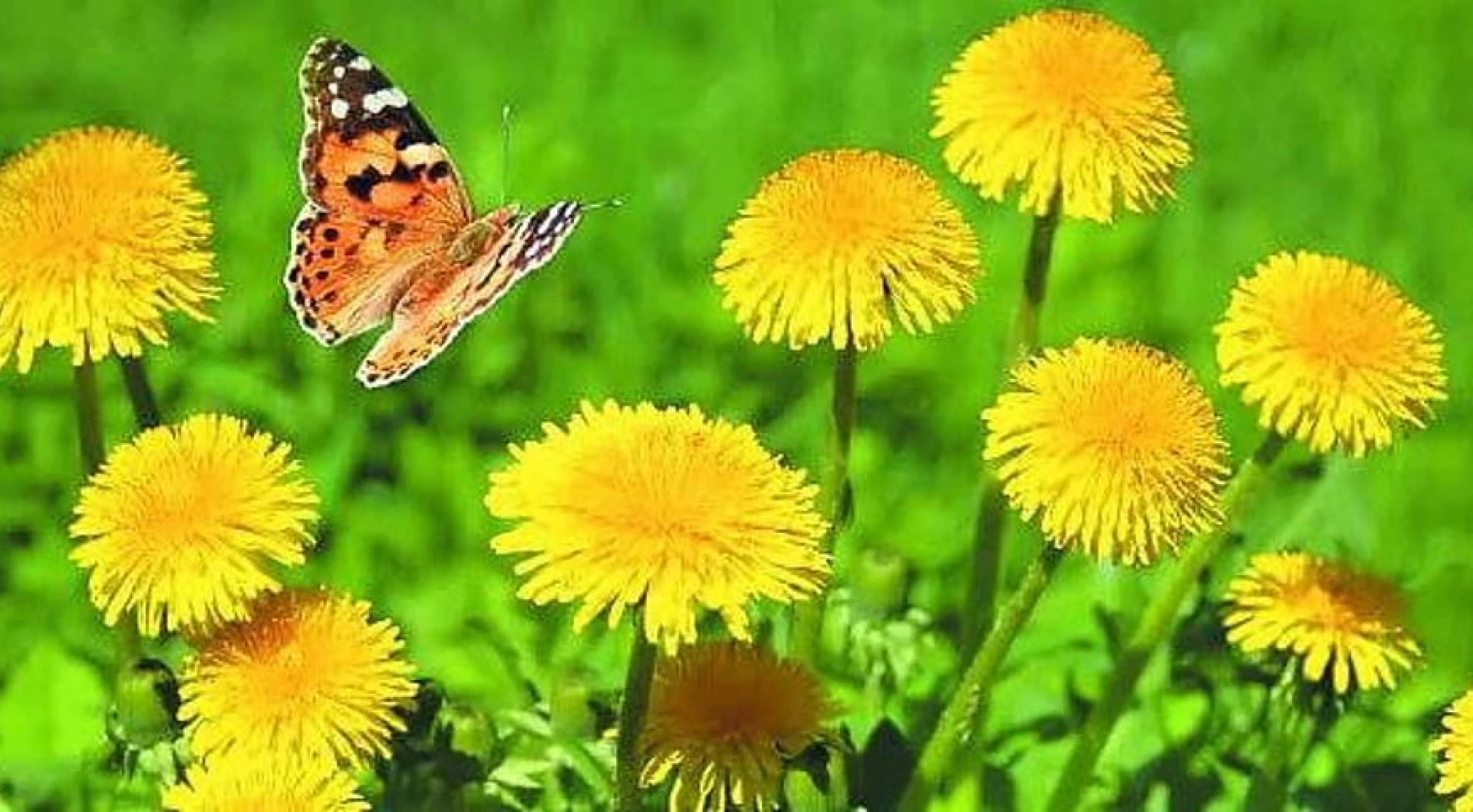 Синоптик розповіла, де завтра буде найтепліше