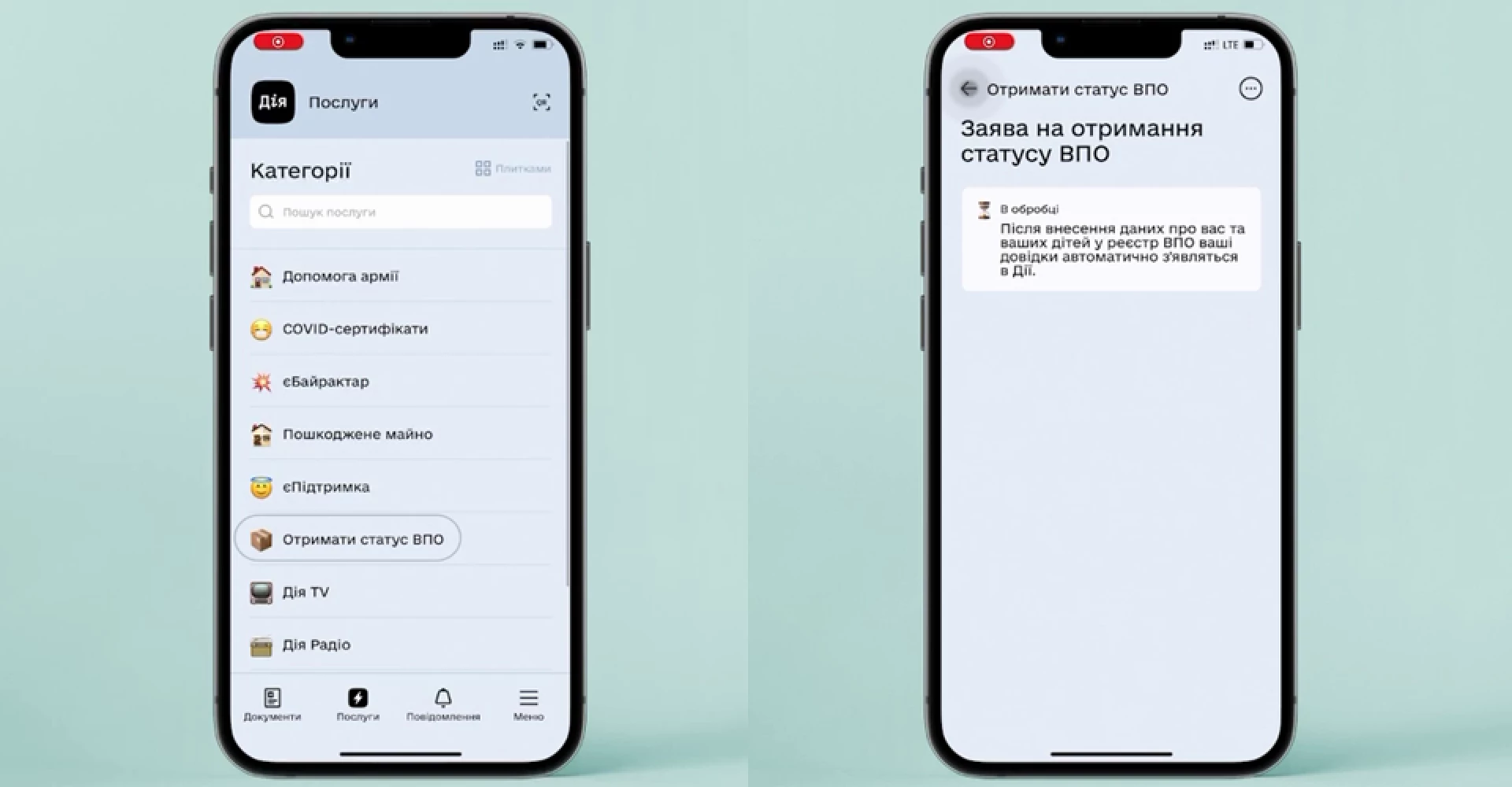 У Мінреінтеграції розповіли, як внутрішньо переміщені особи можуть одержати довідку через Дію