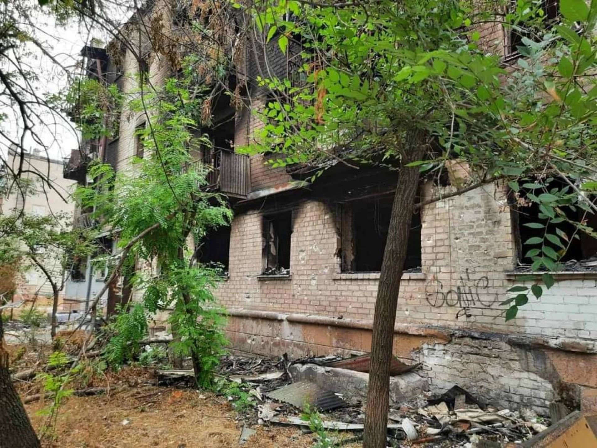 Окупанти намагались вийти на адмінмежу Луганщини, ЗСУ вдалось зупинити штурм - Гайдай. Фото