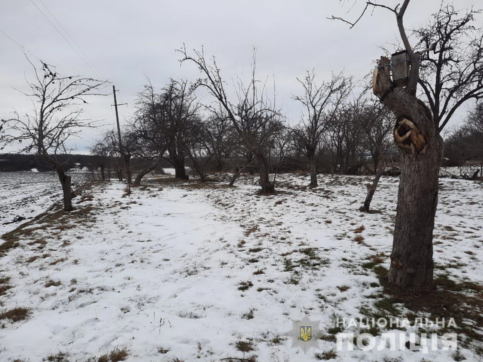 На Вінниччині знайшли мертвим 17-річного хлопця 