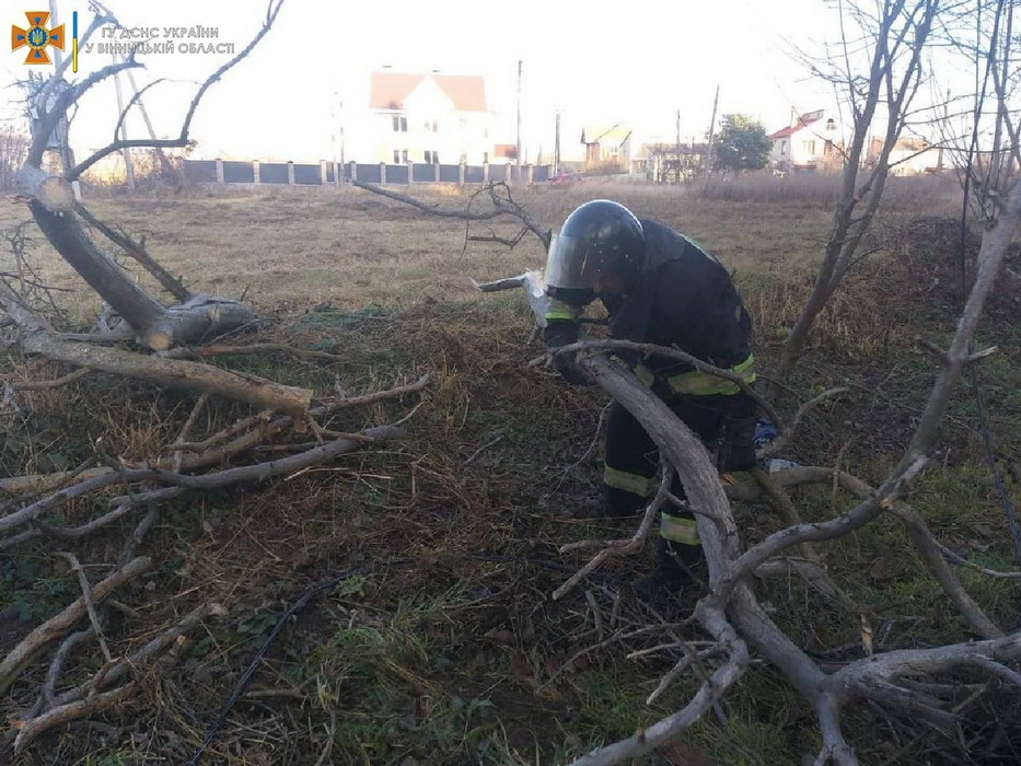 На Вінниччині за добу у чотирьох районах попадали дерева. Між Козятином та Вівсяниками був перекритий автошлях. Фото  