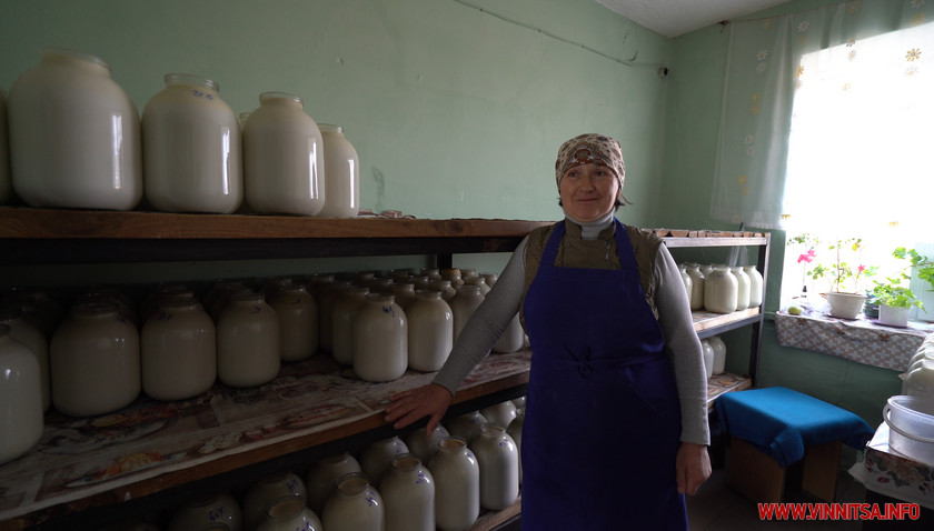 На Вінниччині селяни переробляють молоко за старовинними рецептами, сир відігрівають у печах. Фото  - фото 9