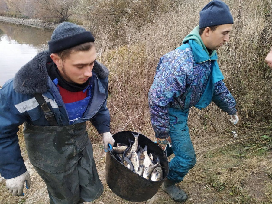 На Вінниччині у Південний Буг випустили 6 тонн товстолоба і коропа - фото 7