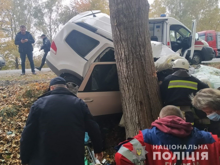 На Вінниччині 71-річний одесит загинув у ДТП. Його Kia Mohave злетіла з дороги, врізалась у дерево та перекинулася. Фото 