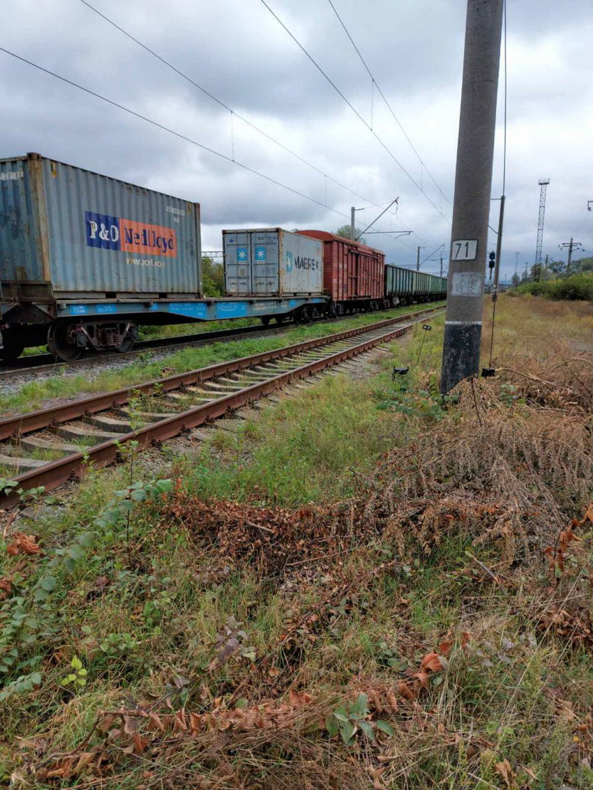  У Жмеринці подружжя зрізало пломбу з вантажного контейнера та намагались вкрасти керамічну плитку. Фото  - фото 6