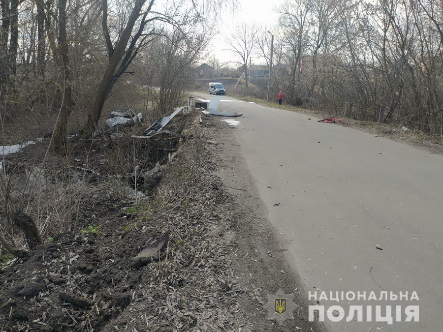 На Вінниччині судитимуть водія, який насмерть збив двох дітей - фото 2