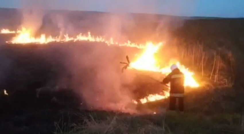 Подробиці «гарячого періоду»: На Вінниччині за добу сталось 5 пожеж в екосистемах. Фото і відео  - фото 3