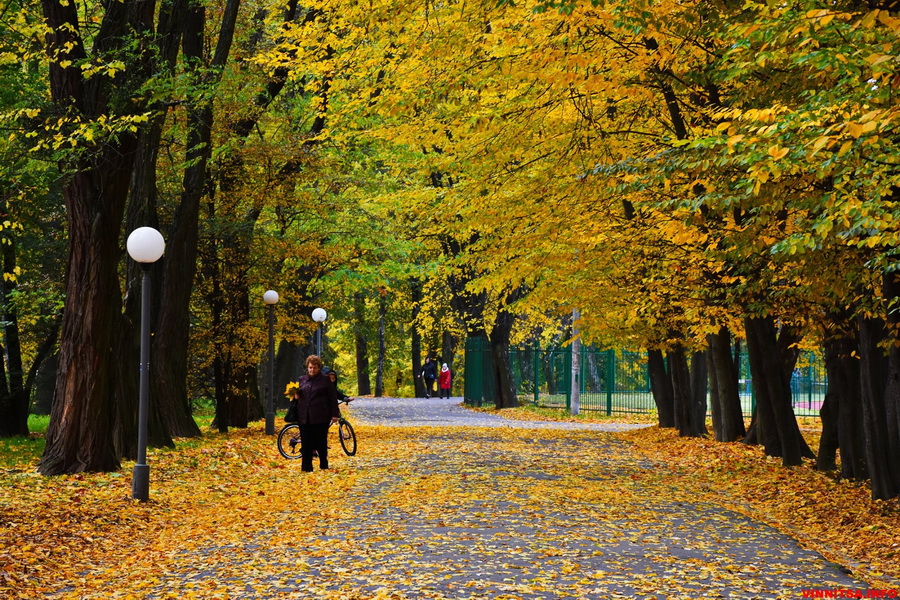 30 яскравих фото осінньої Вінниці