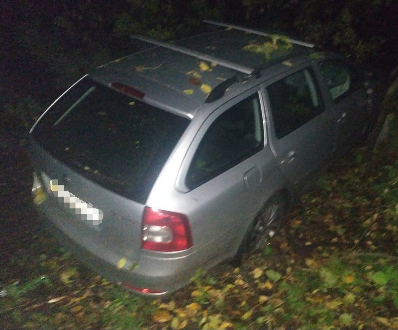 У Вінницькій області під час руху авто по трасі на машину впало дерево. Водій загинув  - фото 2