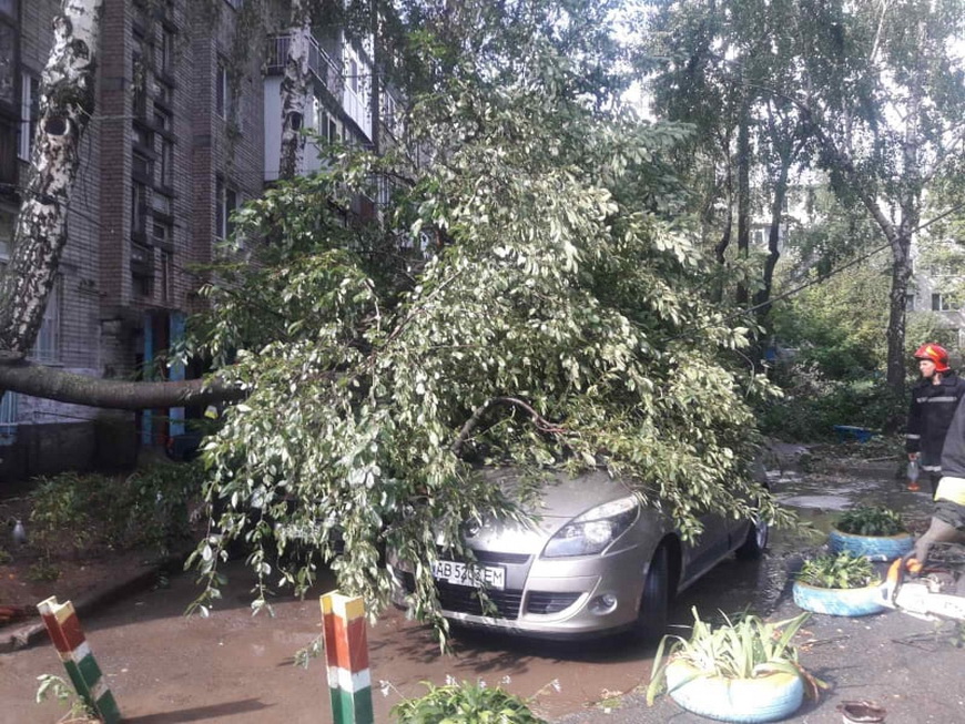 Повалені вітром дерева і затоплені вулиці: за добу на Вінниччині рятувальників 26 разів викликали ліквідувати наслідки негоди - фото 7