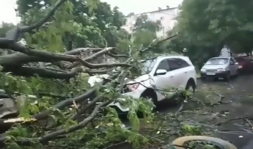 Негода у Вінниці на День Конституції додала клопоту рятувальникам  - фото 2