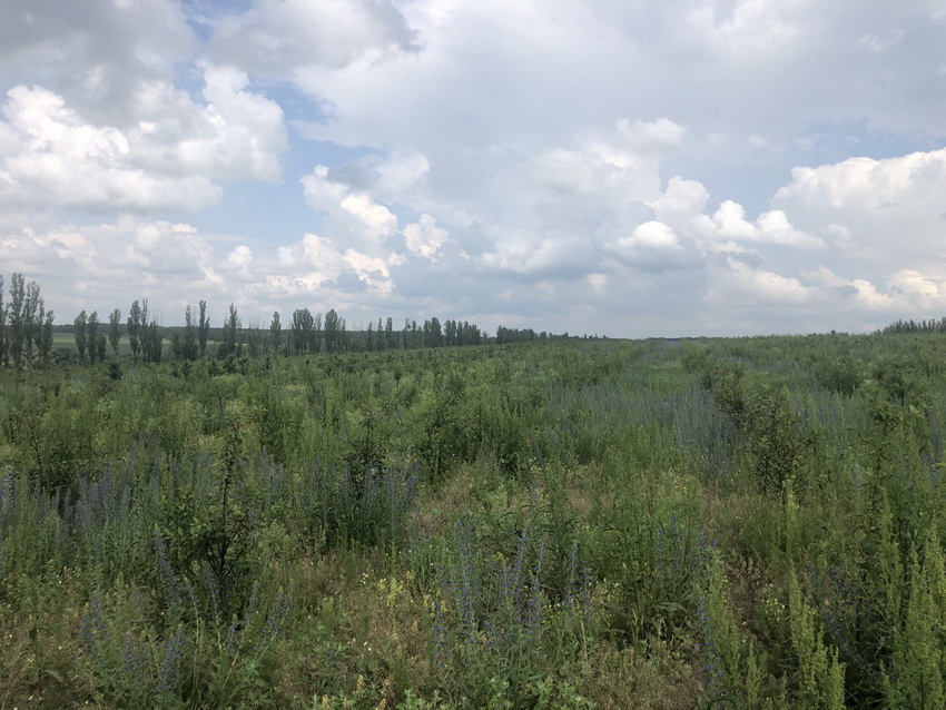 «Ні зв’язку, ні транспорту, в нас є тільки земля. Допоможіть» - селяни на Вінниччині залишились без роботи і оплати за паї  - фото 13