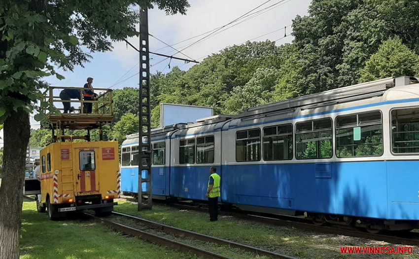 У Вінниці біля Лісопарку дерево впало на трамвайні дроти – рух транспорту зупинився. Фото  - фото 2