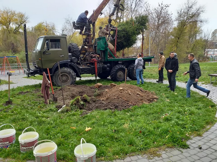 Тяжилів готовий до Нового року: у мікрорайоні посадили велику живу ялинку. Фото - фото 3