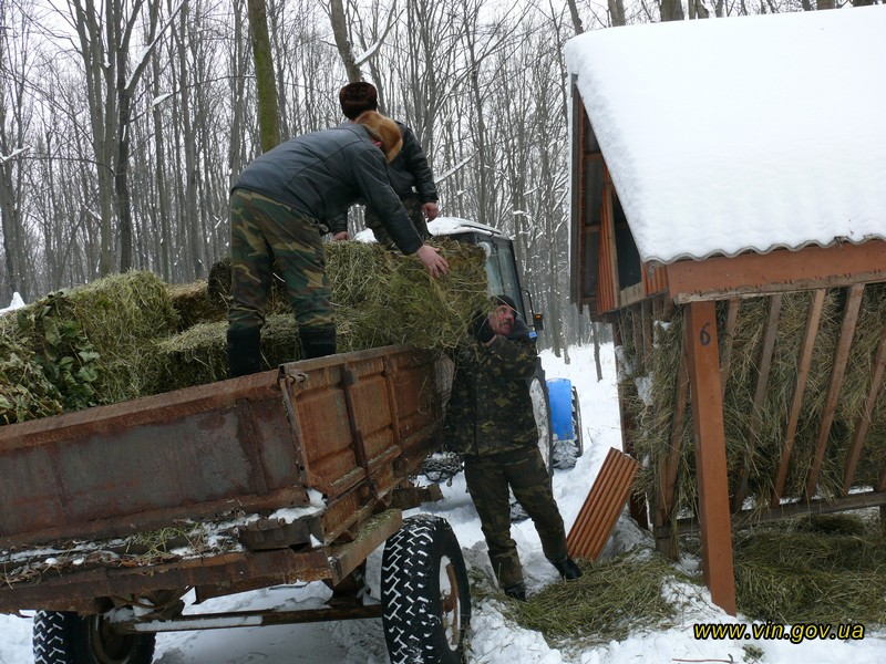 На Вінниччині лісівники заготували «зимове меню» для диких тварин