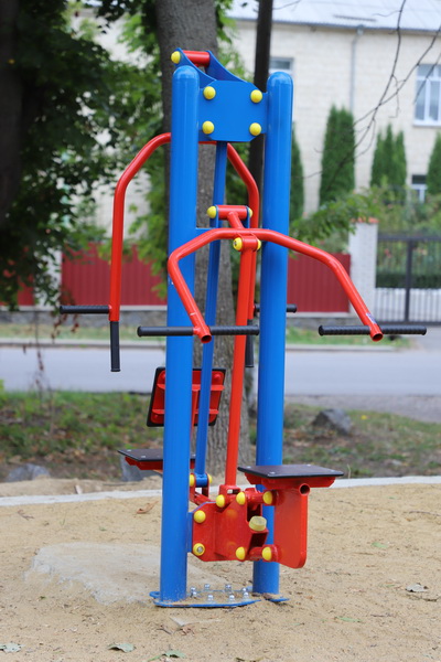 Реалізований проєкт (Найкраще дітям!!! Турбуймося про підростаюче покоління!) Рахни-Лісові