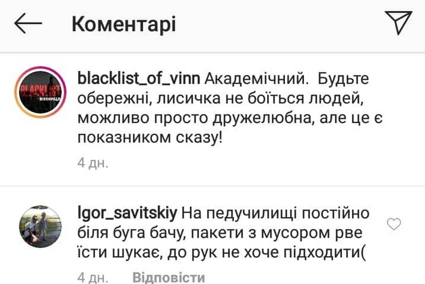 У Вінниці дика лисиця ластиться до людей та просить у них їжу. Ветеринари б’ють на сполох, у тварини може бути сказ. Фото  - фото 2