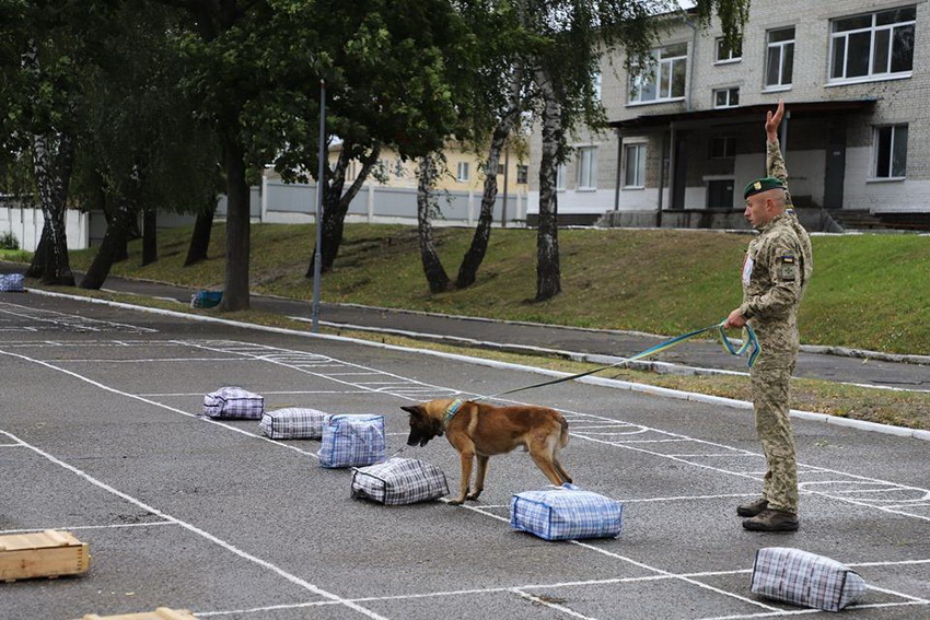 Прикордонник з Вінниччини та його собака Бархан перемогли на чемпіонаті з дресирування. Фото - фото 7