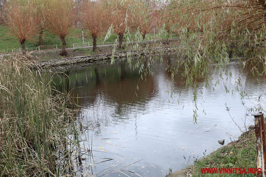 У Вінниці біля церкви баптистів створять зону відпочинку з озером. Проект реконструкції - фото 11