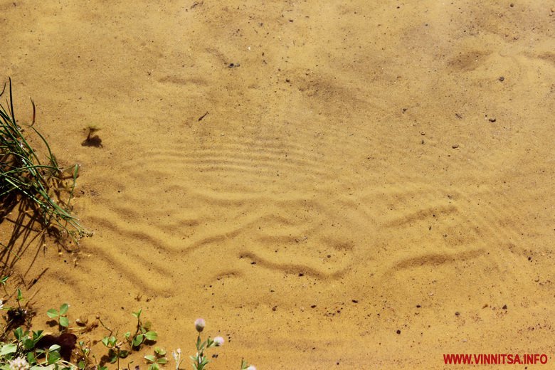 Фоторепортаж з кар’єру в Могилівці: блакитна вода, піщаний пляж і зона відпочинку - фото 4