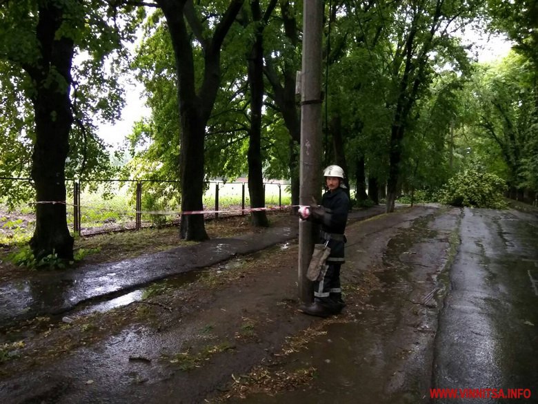 Наслідки потужної зливи на Вінниччині: 72 населених пункти без світла, повалені дерева, підтоплений дитсадок. Фото - фото 4