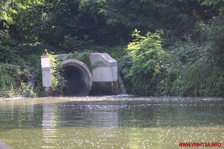 У Вінниці почали чистити Буг в районі водозабору і готують проект для очищення всієї річки. Фото - фото 15