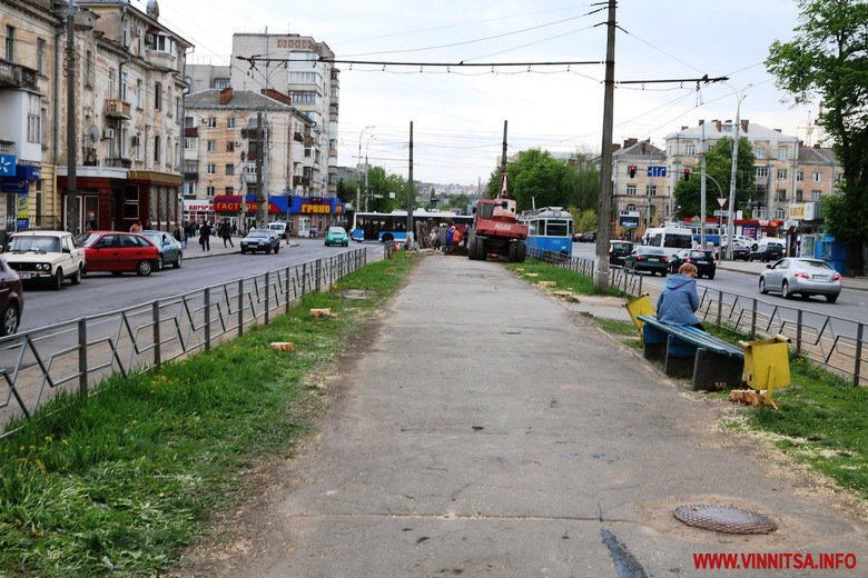 У Вінниці на вулиці Замостянській ріжуть дерева: від лип залишись десятки пеньків. Фото - фото 10