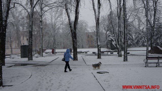 Вінницю присипає снігом. Фоторепортаж з вулиць міста - фото 11