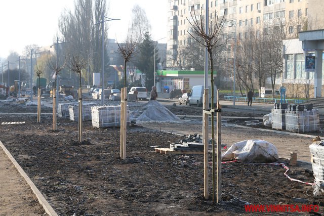 На проспекті Космонавтів посадили 10 кленів і закатали асфальтом проїжджу частину. Фоторепортаж - фото 2