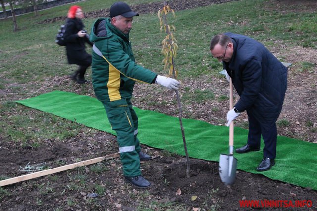 З лопатами на Набережній: посол Японії, мер Вінниці і губернатор посадили сакури. Фото - фото 10