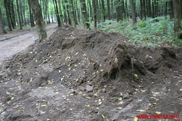 У вінницькому Лісопарку обрізали дерева і встановили бордюри для нової зони відпочинку. Фоторепортаж - фото 22