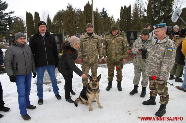 Фронтова собака Баді: легендарна вівчарка з Вінниці стала героїнею фільму. Фото - фото 11