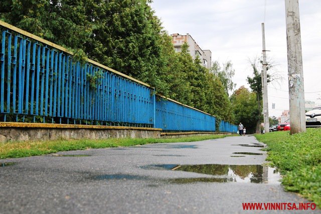 Паркани з хмелю і золоті рибки. Фоторепортаж з вулиці князів у Вінниці - фото 49