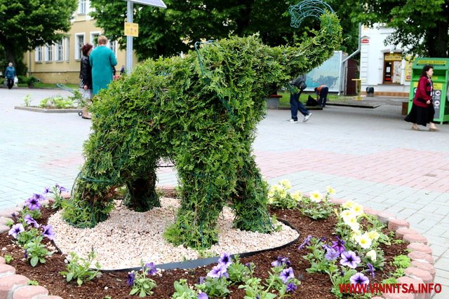 У центрі Вінниці з’явилася клумба-слоненя. Фото - фото 5