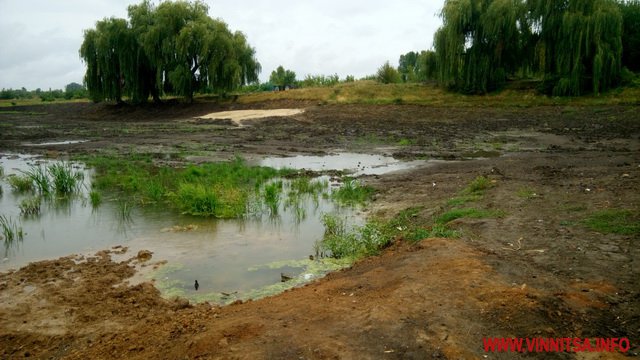 У Вінниці взялись з’ясувати, чому озеро на Тяжилові залишається болотом - фото 12