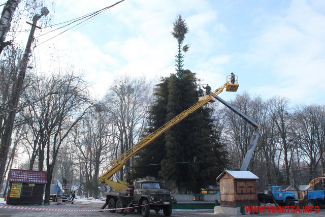 Головну ялинку Вінниці в парку пустили на тирсу - фото 2