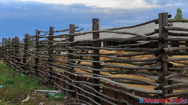 Осляча ферма, ведмеді, дім легендарного лікаря. Вінниччина підкорила туристів «Знайдено в Україні» - фото 2