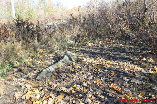 На старому єврейському кладовищі вінничани облаштували городи - фото 56