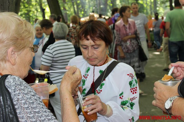 День Конституції вінничани відзначили в парку з шашликом, бігусом, рибою та борщем - фото 51