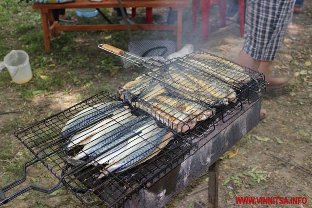 День Конституції вінничани відзначили в парку з шашликом, бігусом, рибою та борщем - фото 52