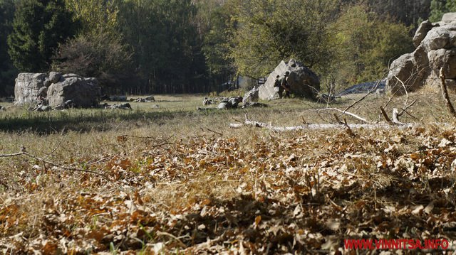 «Понюхали пороху»: на ставці Гітлера в боях зійшлись червоноармійці, «Вермахт» та УПА - фото 24