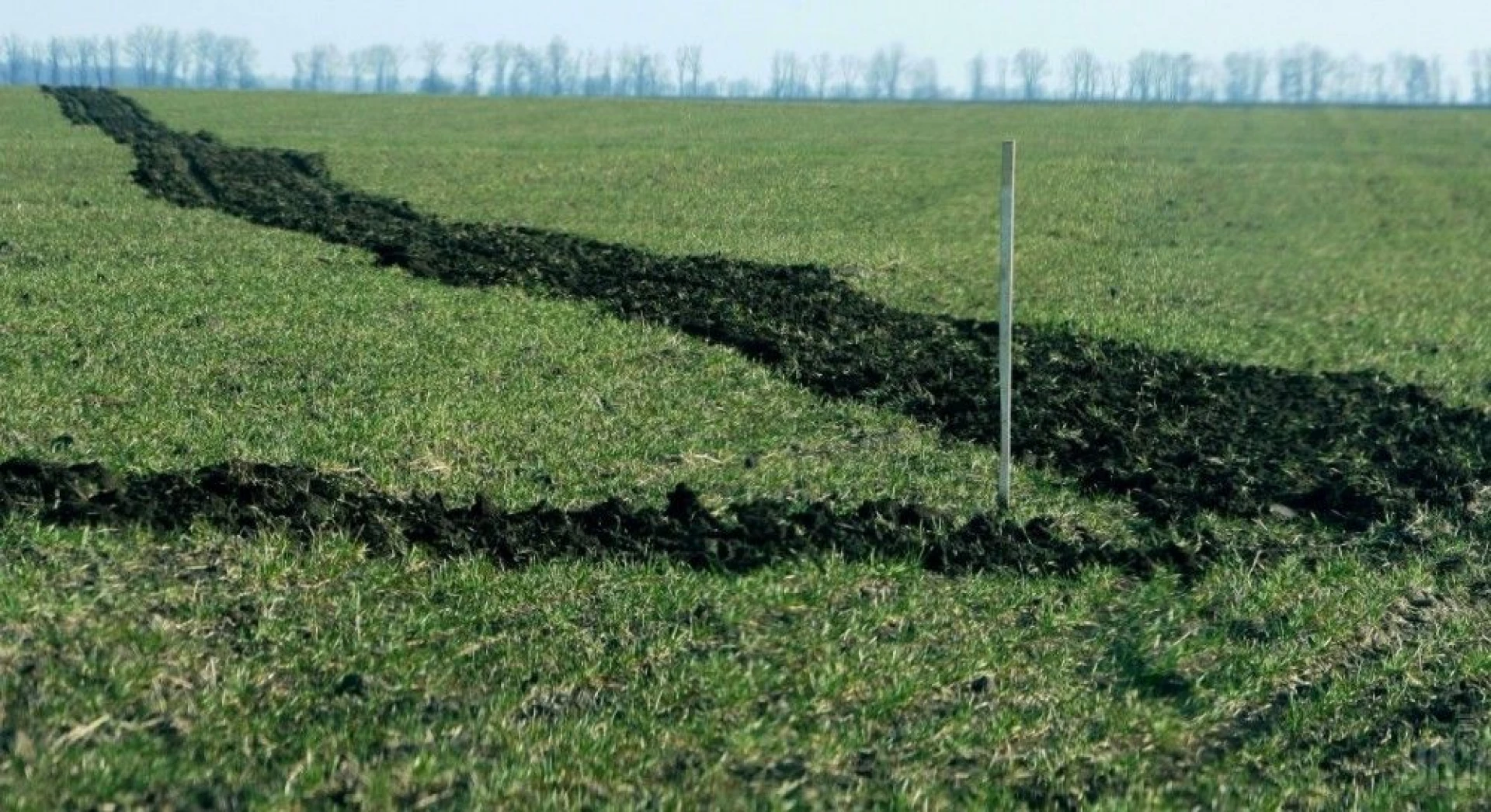 На Вінниччині повідомили про підозру посадовцю, який незаконно «роздав» 66 га державної землі 