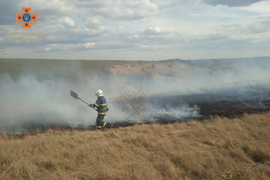 На Вінниччині пожежники за добу 10 разів виїжджали на ліквідацію загорянь в екосистемах - фото 2