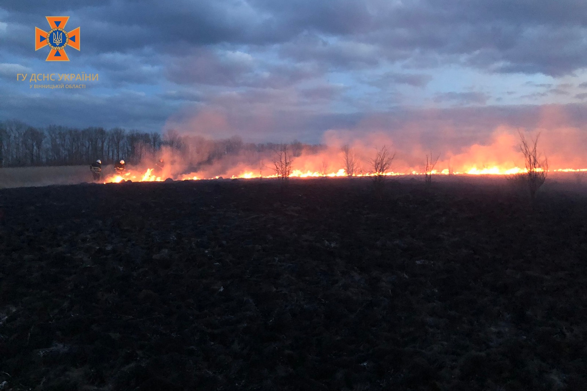 На Вінниччині вогонь завдав шкоди природному середовищу на площі понад 13 га - фото 3