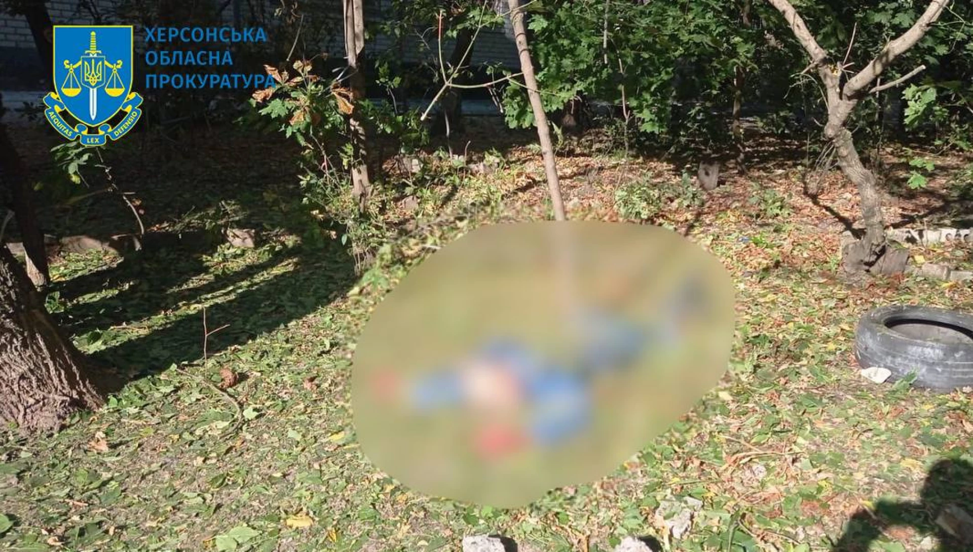 IMG_20231005_105020_720