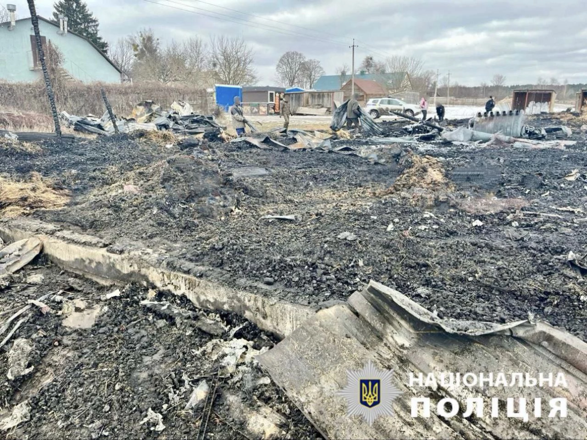 На Київщині внаслідок російської атаки є постраждалий, також загинули 40 свійських тварин