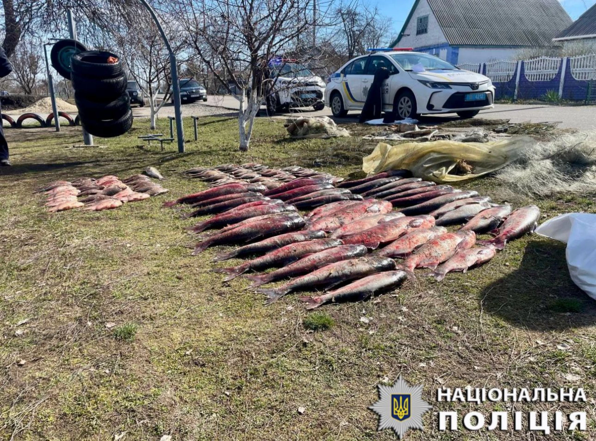 На Київщині чоловік наловив риби і раків на 900 тисяч гривень
