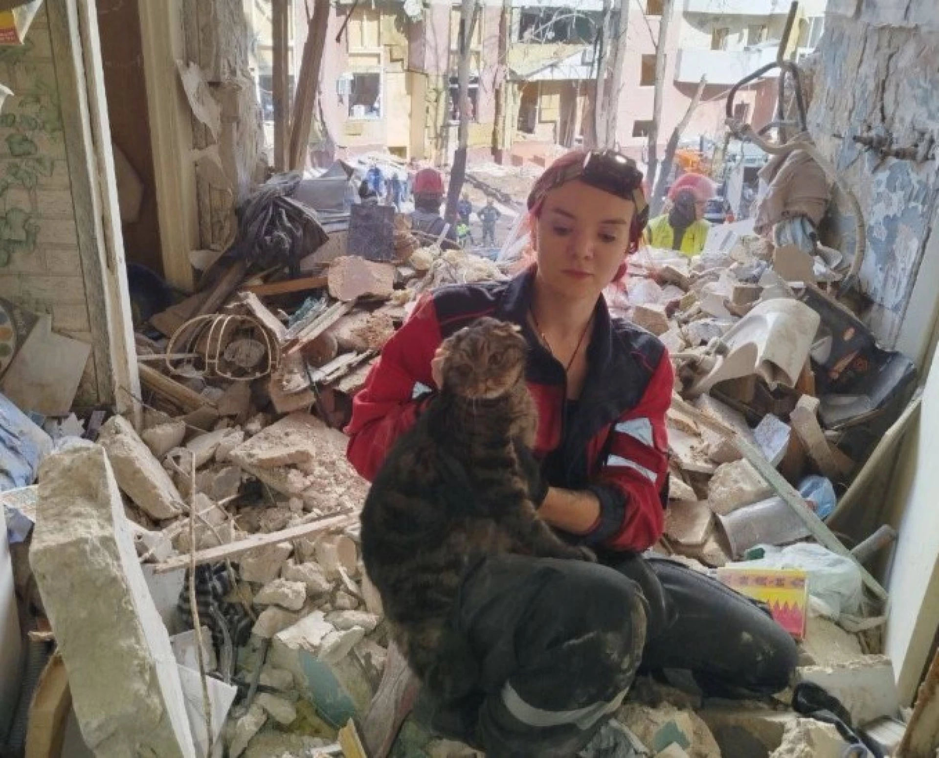 Десять годин під завалами: у Києві врятували кота