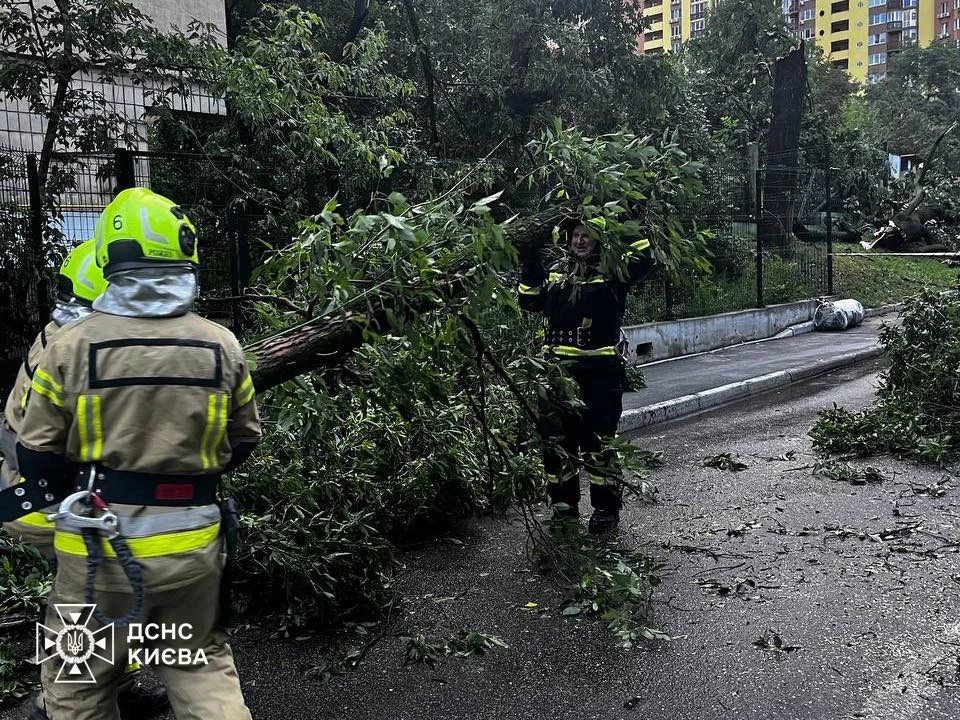У Шевченківському районі Києва дерево впало на авто