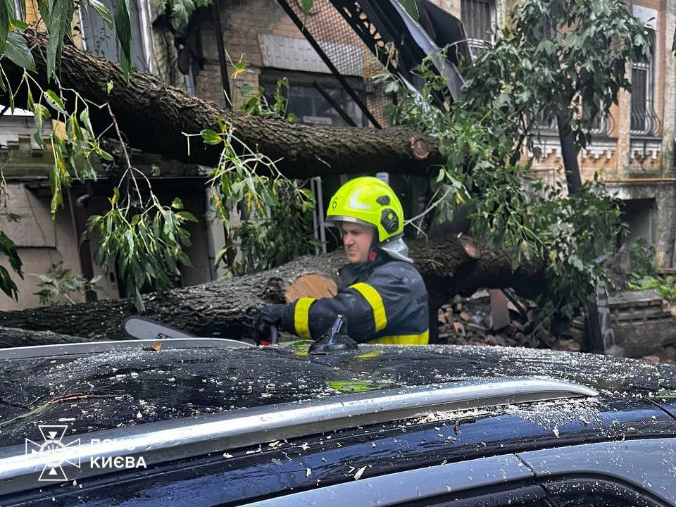 У Шевченківському районі Києва дерево впало на авто